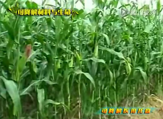 可降解材料聚乳酸(PLA)在医学上的应用