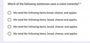 Which of the following sentences uses a colon correctly?A. We... | Filo