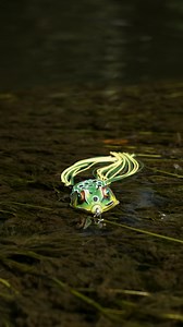 1.8M views · 10K reactions | Your favorite hollow body frog's *favorite* hollow body frog. 狼 Shop Now: https://mustad-fishing.com/livetarget/us/product/fgh?packCode=1&lengthSize=2+1%2F4%22+%7C+55mm&weightSize=5%2F8oz+%7C+18g&colorName=Green%2FYellow | LIVETARGET Lures | Facebook