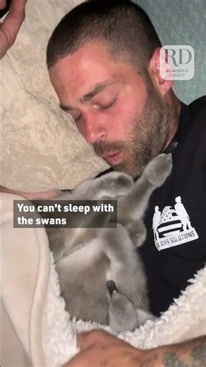 It's always the ones who claim they don't want pets that end up being the biggest cuddle bugs.