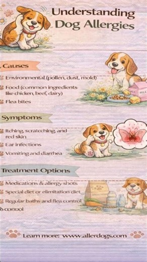 Understand dog allergy start the sign. Spot the cause early to keep your dog healthy and itch-free.