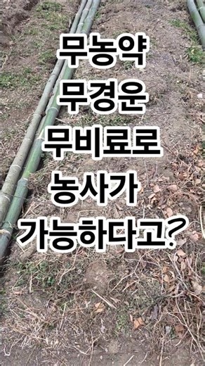 A New World of Permaculture Self-Sufficiency | Creating a Frame Garden