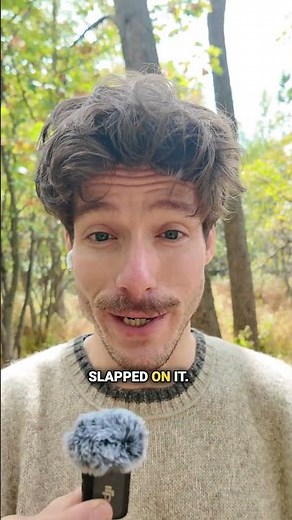 How Does No Tax on Tips Work?