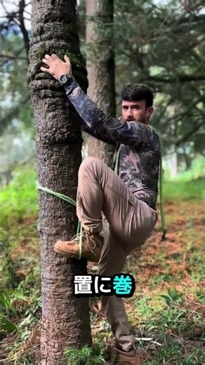 ロープ1本で木に登る方法