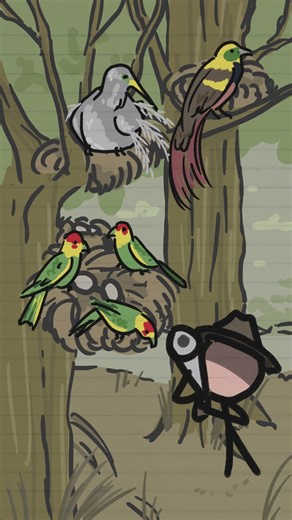 The most valuable cargo that sank with the Titanic 🪶