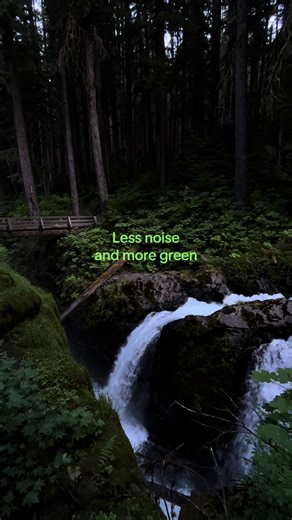 ️ (@.in.the.woods)’s video of green
