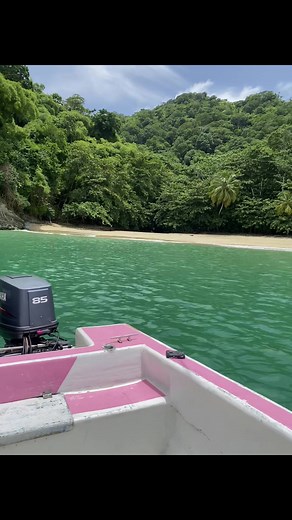 Charlotteville really are beautiful, here's 3 hidden gems people hardly knows about.... 📍Campbleton bay 📍Dead bay 📍waterfall bay Secluded Beach you must check out with next your in Charlotteville Tobago #fyp #paradice #tobagotiktok🇹🇹🇹🇹 #charlotteville #touristattraction