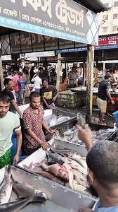 🌅 Morning Time Fish Selling | A Vibrant Market Experience 🎣