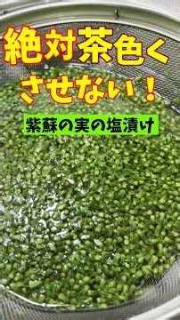 【紫蘇の実】色と風味を120%引き出す天然塩の使い方 #粟國の塩 #天然塩