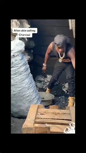 Alien Skin News and Updates