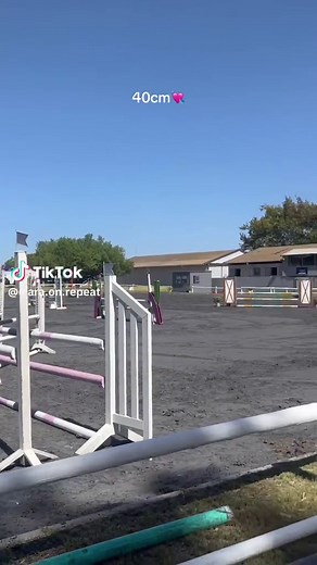 Can't believe we did our first 40cm class😍🤭#smalljumps #showjumping #horse