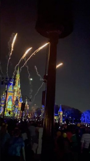 Tinkerbell is Flying!!! #disney #happilyeverafter #tinkerbell #shorts