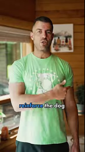 66K views · 2K reactions | If you are struggling with leash walking,...