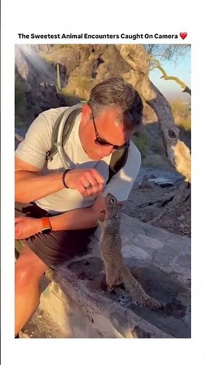 Cutest Animal encounters 🥰
