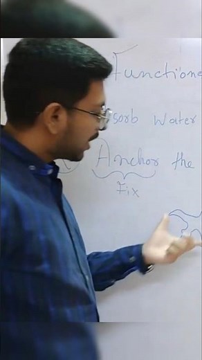 🌱🔍 Root Function Explained: Anchorage, Absorption, and More! #biology #icse