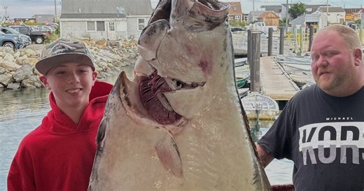 Young man and the sea: Teen fishing off New England coast catches huge halibut bigger than him