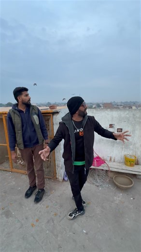 Eagles attack on pigeons😱 #pigeon #viralshort #shortvideo #viral #kabootar