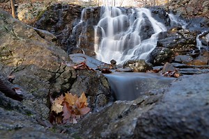 New Jersey's most beautiful waterfalls you can visit this summer
