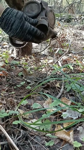 欧洲战争遗留防毒面具#欧洲#遗留物品#历史