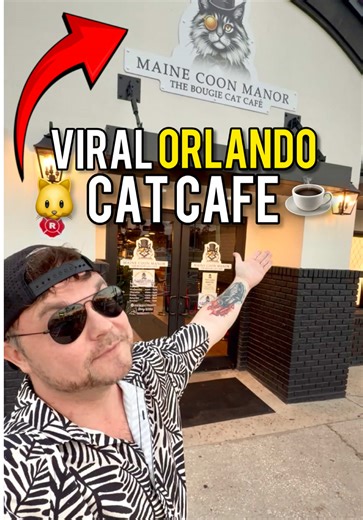 ‼️ NEW Viral Cat Cafe in Orlando 🐱☕️ 📍 Near Old Town, Main Coon Manor Cat Cafe is a unique cafe where you can see and pet exotic cat breeds. Main Coons, Scottish Folds, Sphynx & More! ☕️ Their adoption center also works with a nonprofit so you can bring a rescue kitten home for yourself. Opens on February 1st and definitely worth a visit if you’re coming to Orlando on vacation! #Orlando #CatCafe #Vacation