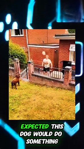 Dog Joins the Game: An Unexpected Football Buddy! #animals #dog #foryoupagereels #fblifestyletyle #truestory #unexpected | Rick Ortega