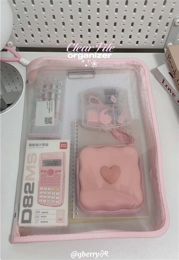 Essential Clear File Organizer for Students and Home