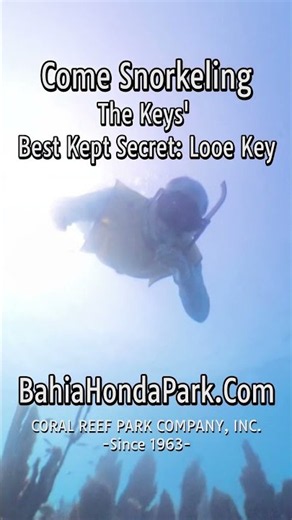 Inside Bahia Honda State Park, Snorkel Looe key