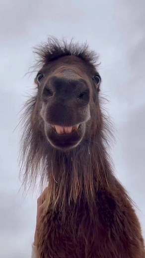 ‏Good morning! 😊😁