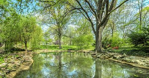 Comment créer un étang de jardin pour favoriser la biodiversité ?