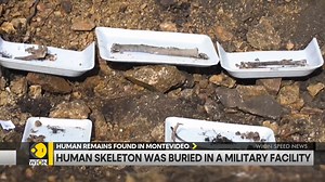 2.5K views · 57 reactions | Here are the top stories from across the globe Tune in to WION to get your daily dose of news LIVE TV: https://wionews.com/live-tv | WION | Facebook