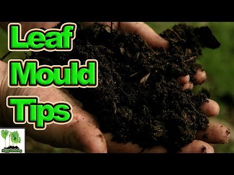 Hints, Tips And Tricks To Make Faster Leaf Mould