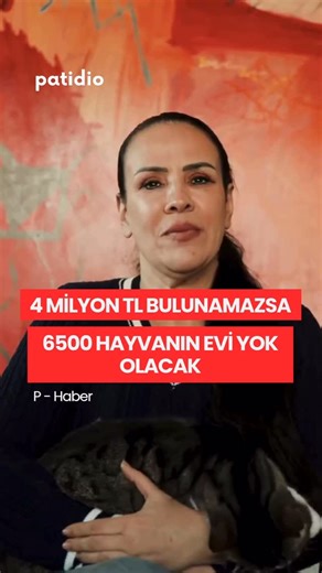 Patidio Haber on Instagram: "🐾 P-Haber Eziyetten, işkenceden, istismardan ve ölümden kurtarılan 6500 cana ev sahipliği yapan Angels Farm Sanctuary’nin arazisi satışa çıkarıldı. Eğer gerekli olan 4 milyon TL, 10 Şubat’a kadar toplanamazsa binlerce hayvan yersiz yurtsuz kalacak. Onların geri kalan ömürlerinde sevgi ve ilgiyle bakımlarının devam etmesini istiyorsanız valilik onaylı bağış hesabına destek olabilirsiniz. Hesap Sahibi: Haybap Ferdinand hayvanlara ve doğaya ahbap derneği( HAYBAP FERDİN