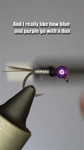 Blurple Quill | Fly Tying Tutorial