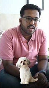 WHY You MUST Remove Your Shoes at Dog Boarding! 🐾 | Pet Safety Secrets Revealed #pets #shorts