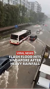 980K views · 5.4K reactions | The heavy rains have also affected other parts of South East Asia. Follow to never miss an update! #news #malaysia #singapore #rain #storm #flood #flooding #disaster | The Smart Local Malaysia | Facebook