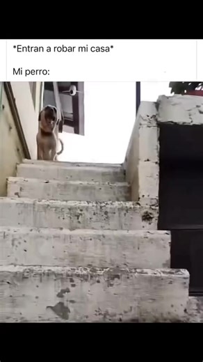 #comedia #viral #fyp #meme #paratiiiiiiiiiiiiiiiiiiiiiiiiiiiiiii | Memes On TikTok