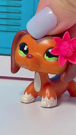 lpspuppylover2016 on TikTok