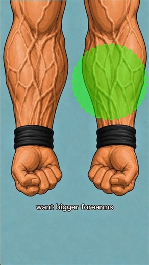 Want BIGGER Forearms? Do These 4 Things