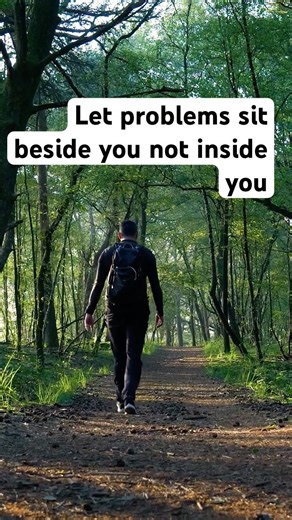 Let Problems Sit Beside You, Not Inside You
