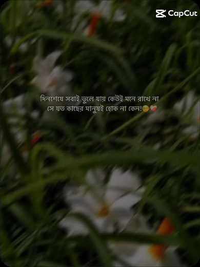 Habbi Sami (@habbi.sami)’s videos with original sound - 🎀