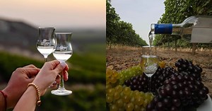 ¿Por qué Perú prohíbe el ingreso de pisco chileno y de otros países?