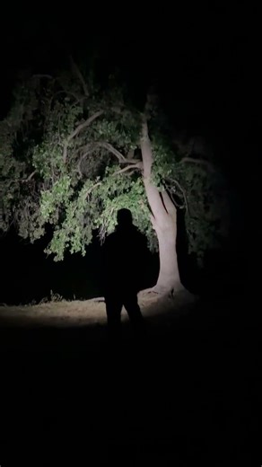 The Kodiak Krux 6.0. 6000 lumens ! litezall, #DenyTheDark, #kodiak #flashlight#litezall @Litezall