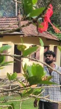 ജൈവ സദ്യ