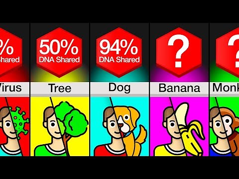 Comparison: How Much DNA Do You Share With ___?