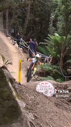 Jackson Goldstone Triumphs at 2025 Red Bull Hardline