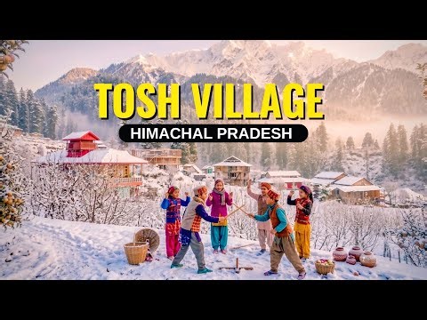 Tosh village Himachal Pradesh | 2 hours away from Kasol | How to reach tosh village