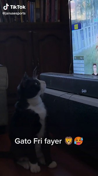 Gato Fri Fayer: Análisis Humorístico de Free Fire