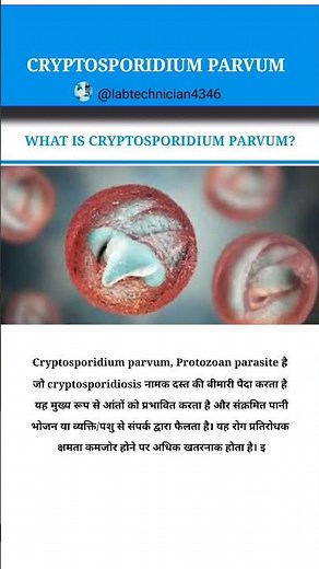What is Cryptosporidium parvum? Lab diagnosis|cryptosporidiosis|Acid fast stain|stool examination#yt