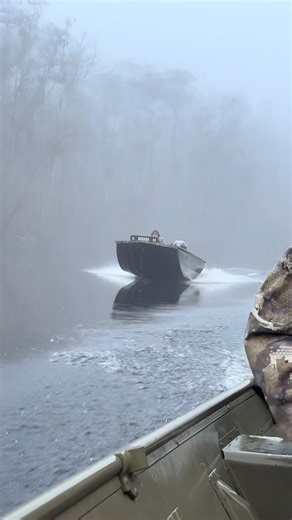 Captivating Foggy Morning Scenes