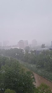 58K views · 325 reactions | Sarajevo, 17.4.2024. | Vijesti.ba | Facebook